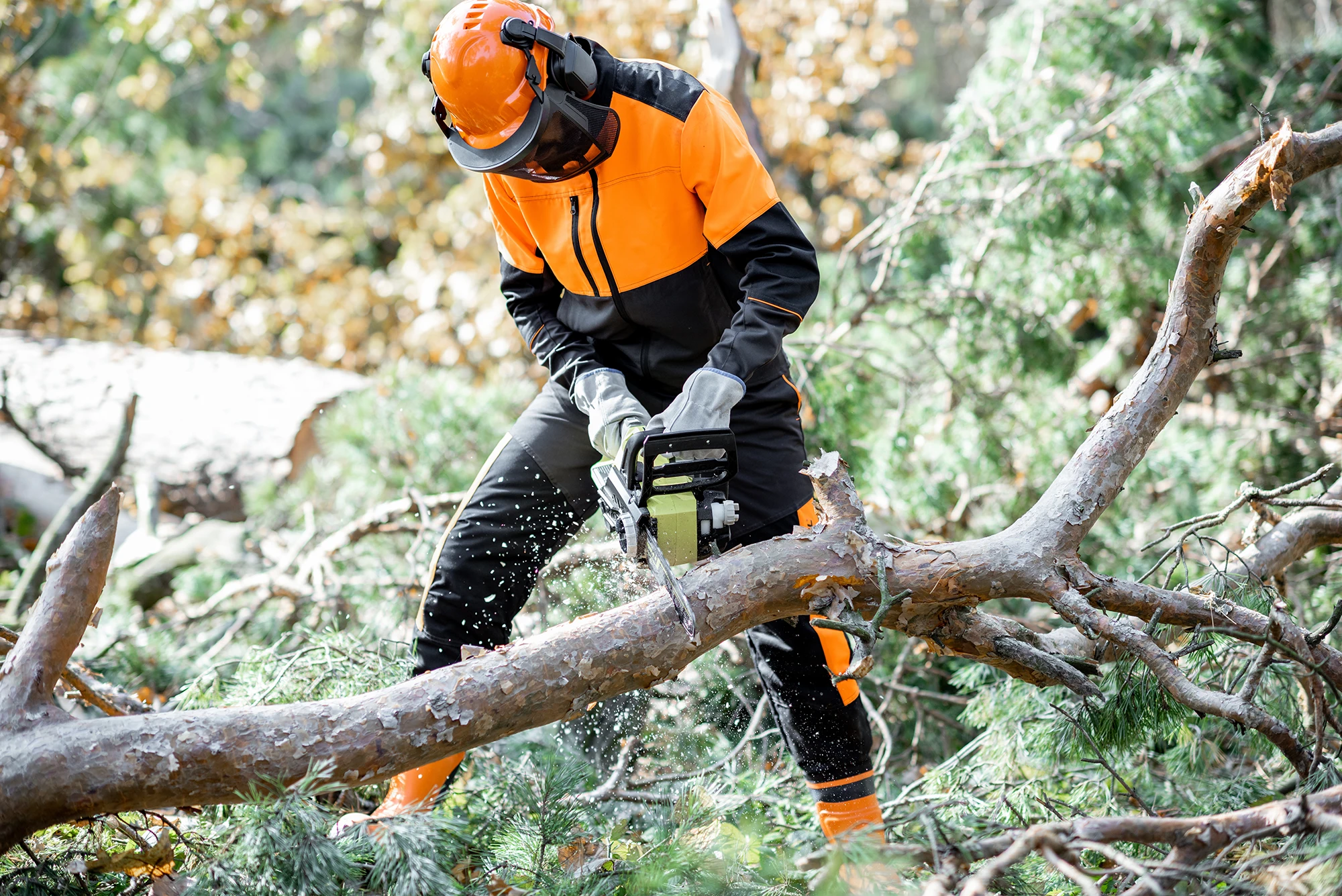 Utilisation sûre et rentable de la tronçonneuse